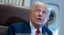 Mỹ: Tổng thống D.Trump dọa điều động ICE đến các sân bay trên toàn quốc