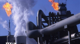 Giá dầu giảm hơn 13% sau quyết định hoãn chiến tranh của Mỹ với Iran