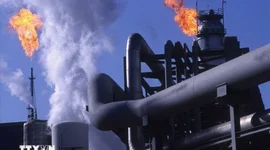 Giá dầu giảm hơn 13% sau quyết định hoãn chiến tranh của Mỹ với Iran