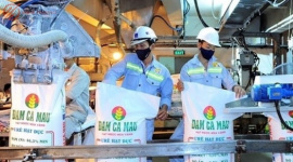 Một doanh nghiệp phân bón lớn lên kế hoạch lãi sụt giảm 40%