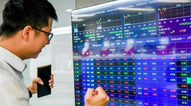 3 nhóm cổ phiếu rơi về vùng "quá bán" sau nhịp sau điều chỉnh mạnh của thị trường