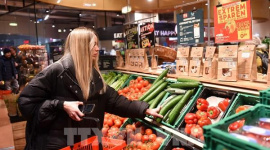 ECB: Người tiêu dùng và nhà nhập khẩu Mỹ chịu thiệt hại chính từ thuế quan