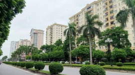 HoREA đề xuất bỏ trần lợi nhuận và mở rộng tín dụng cho nhà ở thương mại giá hợp lý