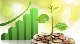 Lịch chốt quyền cổ tức 9/3-13/3: Một công ty chứng khoán "lăn chốt", cổ tức tiền mặt cao nhất 25%