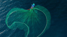 Loạt dự báo bất ngờ về thị trường chứng khoán sau phiên giảm điểm kỷ lục