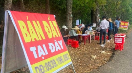 Đầu cơ gặp khó, nhà đầu tư nên “tính chuyện đường dài”