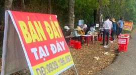 Đầu cơ gặp khó, nhà đầu tư nên “tính chuyện đường dài”