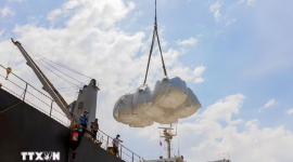 Giá gạo và nông sản châu Á tăng mạnh do xung đột Trung Đông