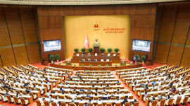 Tin vui: Xăng dầu chính thức được miễn nhiều loại thuế quan trọng đến hết 30/6