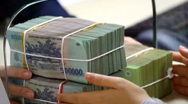 Chuyên gia ADB: Thanh khoản ngân hàng chịu áp lực nhưng vẫn trong tầm kiểm soát, dư địa tài khóa rộng mở