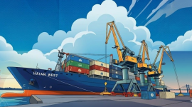 CTCP Vận tải và Xếp dỡ Hải An bị đưa vào diện kiểm tra thuế