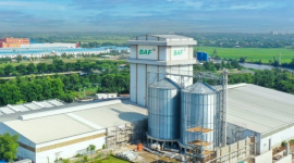 BAF muốn chia thưởng và trả cổ tức 20%, đưa CEO Siba Holdings vào Hội đồng quản trị