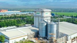 BAF muốn chia thưởng và trả cổ tức 20%, đưa CEO Siba Holdings vào Hội đồng quản trị