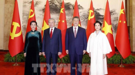 Tổng Bí thư, Chủ tịch nước Tô Lâm hội đàm với Tổng Bí thư, Chủ tịch Trung Quốc Tập Cận Bình
