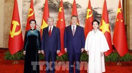 Tổng Bí thư, Chủ tịch nước Tô Lâm hội đàm với Tổng Bí thư, Chủ tịch Trung Quốc Tập Cận Bình