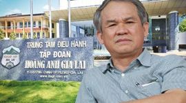 HAGL đặt kế hoạch lãi kỷ lục 4.200 tỷ đồng, bầu Đức gom thêm cổ phiếu trước thềm ĐHĐCĐ