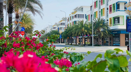 Các 'huyền thoại' ngành sản xuất của Việt Nam như Hòa Phát, Tân Á Đại Thành, Bitis, KIDO đang làm bất động sản ra sao?