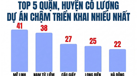 Bóc 341 dự án "đắp chiếu" tại Hà Nội: Mê Linh dẫn đầu số lượng dự án, hàng loạt doanh nghiệp đình đám Viglacera, Geleximco, Nam Cường, Sudico...bị điểm tên