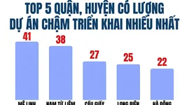 Bóc 341 dự án "đắp chiếu" tại Hà Nội: Mê Linh dẫn đầu số lượng dự án, hàng loạt doanh nghiệp đình đám Viglacera, Geleximco, Nam Cường, Sudico...bị điểm tên