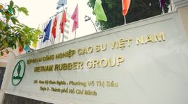 Một tập đoàn Nhà nước trả cho nhân sự trung bình 53 triệu đồng/tháng