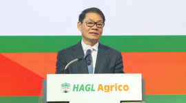 Tỷ phú Trần Bá Dương muốn bán 20% vốn HAGL Agrico dù đang lỗ lũy kế 10.000 tỷ