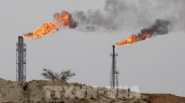 Giá dầu giảm nhẹ sau quyết định rời OPEC của UAE