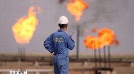 Các thành viên OPEC+ không có ý định rời khỏi OPEC+ như UAE