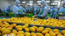 WB: Việt Nam là một điển hình về khả năng biến thách thức thành cơ hội