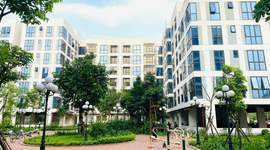 Có đất ở quê vẫn được mua nhà ở xã hội Hà Nội?