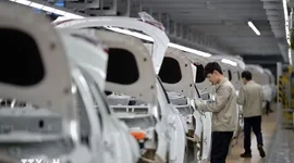 Ngành ôtô Hàn Quốc đạt 'cột mốc vàng,' đã xuất khẩu 76,55 triệu xe