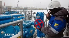 EU nhập lượng khí đốt kỷ lục từ Nga trong quý I/2026