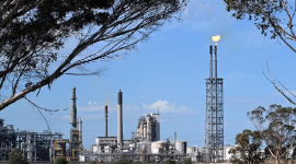 OPEC hạ dự báo tăng trưởng nhu cầu dầu toàn cầu