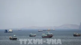 Điểm tin kinh tế thế giới nổi bật ngày 14/5/2026