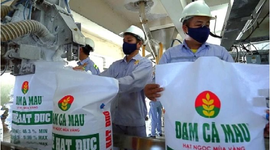 Hưởng lợi lớn từ “cơn sốt” urê toàn cầu, Đạm Cà Mau (DCM) báo lãi đột biến trong quý 1