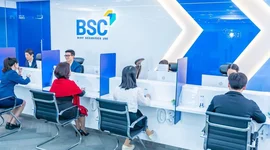 BSC phát hành hơn 24,5 triệu cổ phiếu trả cổ tức
