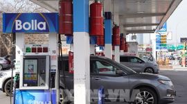 Lo ngại tiến trình đàm phán Mỹ-Iran, giá dầu ghi nhận tuần đi xuống
