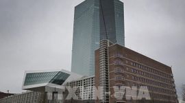 ECB nhiều khả năng tăng lãi suất vào tháng 6/2026