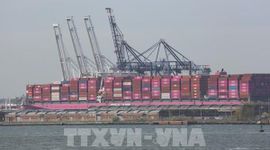 Mỹ đẩy mạnh hoàn trả thuế nhập khẩu cho doanh nghiệp