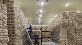 Indonesia lập kỷ lục dự trữ gạo cao nhất lịch sử