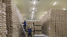 Indonesia lập kỷ lục dự trữ gạo cao nhất lịch sử