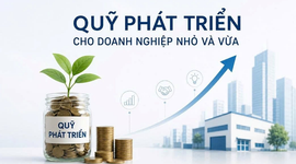 Đề xuất cơ chế tái bảo lãnh đến 70%: "Phao cứu sinh" mới cho các doanh nghiệp nhỏ và vừa