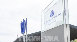 Quan chức ECB ủng hộ tăng lãi suất vào tháng 6/2026