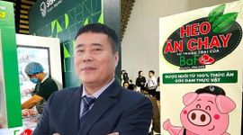 Doanh nghiệp “heo ăn chay” của Chủ tịch Trương Sỹ Bá sắp phát hành hơn 60 triệu cổ phiếu cho cổ đông