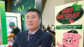 Doanh nghiệp “heo ăn chay” của Chủ tịch Trương Sỹ Bá sắp phát hành hơn 60 triệu cổ phiếu cho cổ đông