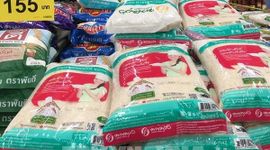 Thái Lan kêu gọi Mỹ miễn thuế nhập khẩu đối với gạo thơm
