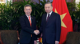 Tổng Bí thư, Chủ tịch nước Tô Lâm tiếp các doanh nghiệp lớn của Singapore