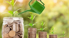 Một công ty chốt ngày trả cổ tức tiền mặt tỷ lệ 20,22%