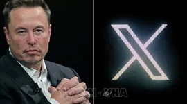 Tỷ phú Elon Musk nộp phạt 1,5 triệu USD liên quan thương vụ mua Twitter