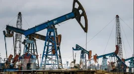 Thông tin Nga và Ukraine nhất trí ngừng bắn 3 ngày kéo giá dầu giảm hơn 6% trong tuần qua