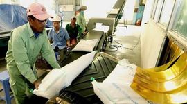 Giá gạo Việt Nam tăng mạnh, ngũ cốc Mỹ đồng loạt giảm